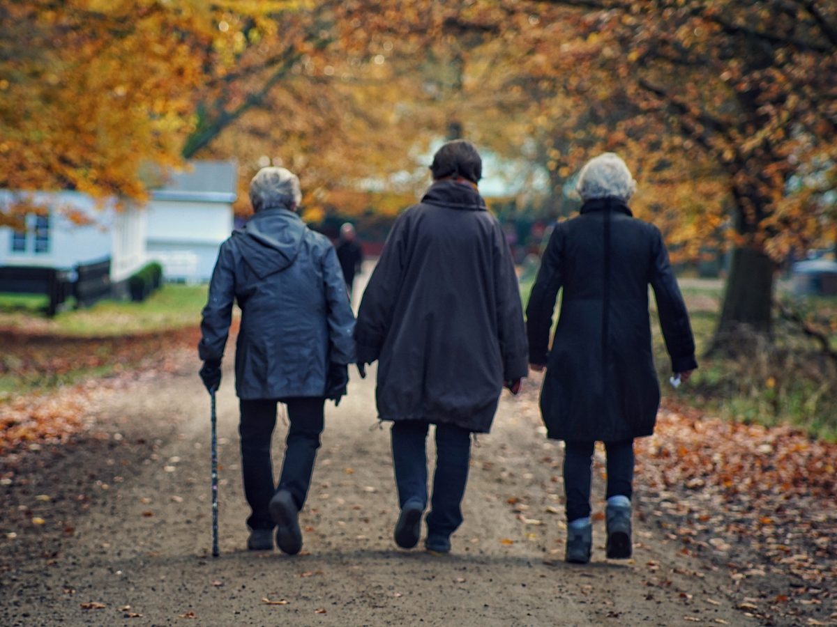 Three older Australians walking together along an autumn path